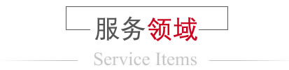 服务领域